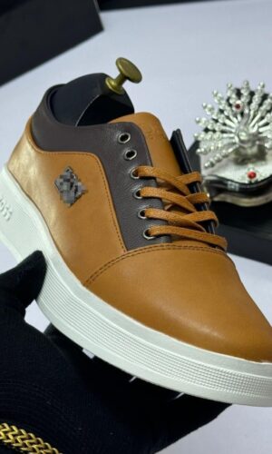 Men Shoes